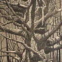 Demo: Joe Smith | Scratchboard