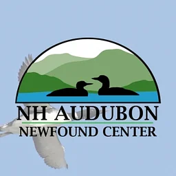 Peeps of Paradise Point: Birds Abound