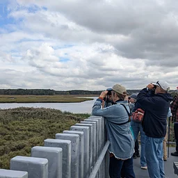 Bird and Nature Walk: Fresh Kills – North Park