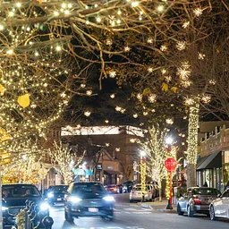 Holiday Stroll
