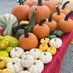Tennessee Harvest Day