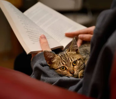 Rescue Readers (Adult Reading Program)