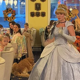 Tea with Cinderella (Plymouth)