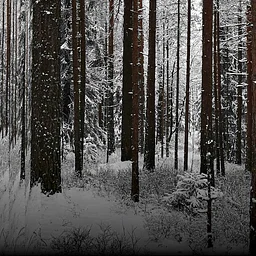 Winterreise