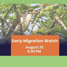 Early Migration Watch
