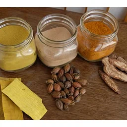 Ila Jhaveri: Talk- Chinese Medicine Tools for Cold/Flu Remedies