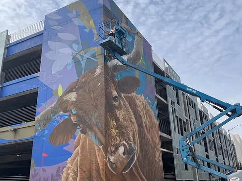 Framerate: Desert Pulse