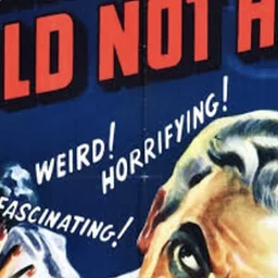 The Secret Cinema: Scary Films