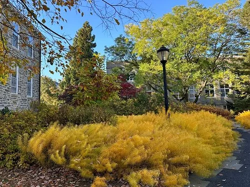 Hidden Gardens: A Fall Celebration