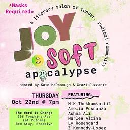 Joy in the Soft Apocalypse