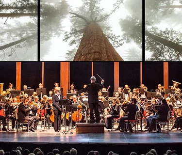 Berks In Focus: Symphony Of A Thousand Images