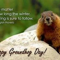 Ground Hog Day
