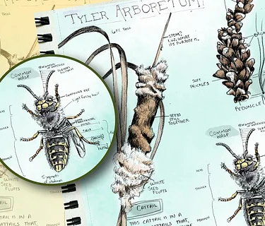 Nature Journaling Series