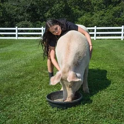 Critterville Farm Sanctuary Private Tour