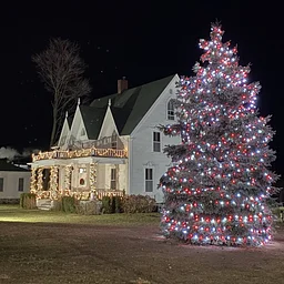 Community Tree Lighting