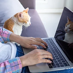 Online Conference Surgery and Ophthalmology May 2027May 24 - 26, 2027