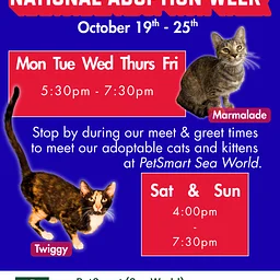 National Adoption Week with PetSmart
