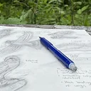 Nature Sketching 