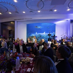 Oceanic Evening 2026