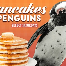Pancakes & Penguins at Ripley’s