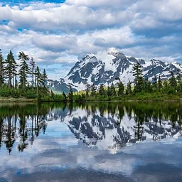 Our National Parks: Past, Present, and Future Panel Discussion