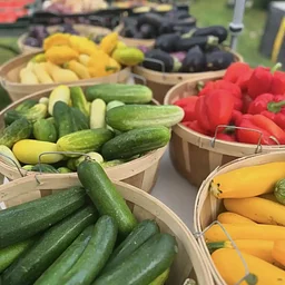 Osterville Farmers’ Market