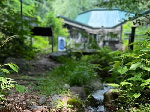 Mindfulness Nature Hike