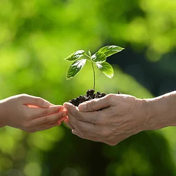 Rooted Conversations Speaker Series: Resilient Harvests