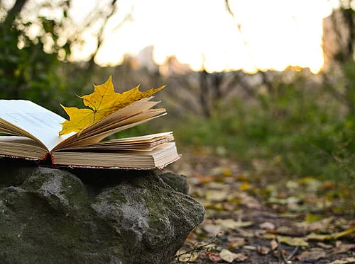 Nature(+) Bookmaking from Scratch