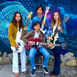 The Long View Band