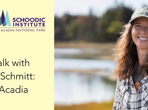 Author Talk with Catherine Schmitt: Trees of Acadia (at Jesup Memorial Library)