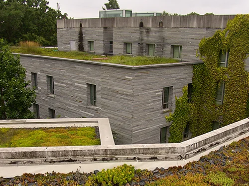 Green Roof Tour