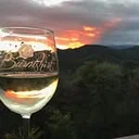 Burntshirt Vineyards