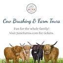 Cow Brushing & Farm Tours