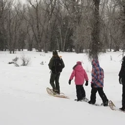 Snowshoe Walks