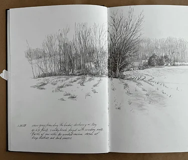 Membership Appreciation #2: Summer Nature Celebration: Pollinators, Plants, & Nature Journaling