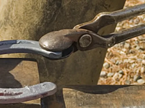 May 29th – Farrier Certification