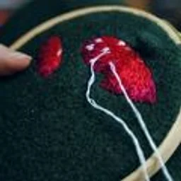 3D Embroidery: Mushrooms!
