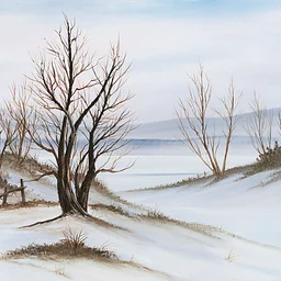 Bob Ross Painting Workshop: S10 E07—Winter Solitude