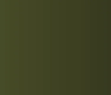 SWVHJA Benefit Horse Show