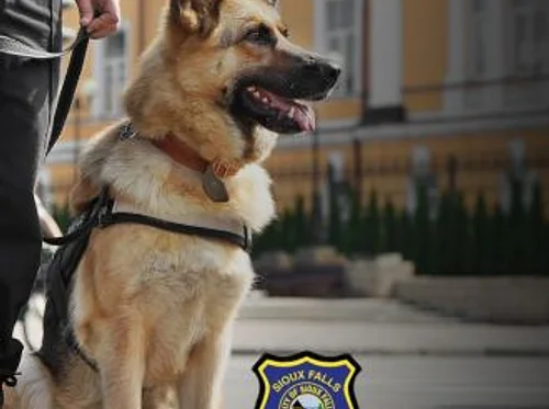 Meet Sioux Falls’ Real-Life Superpower Dogs