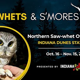 Saw-Whets & S’mores: Indiana Dunes