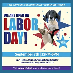 Labor Day Adoption Special