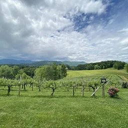 Addison Farms Vineyard