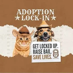 Adoption Lock-In 2026 – Human Society of NEGA
