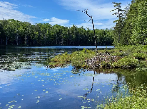 Understanding Conservation Easements