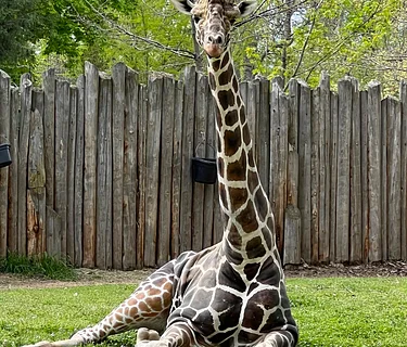 Earth Day Family Night Out