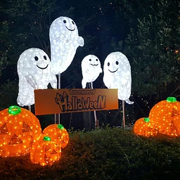 Halloween Happenings!