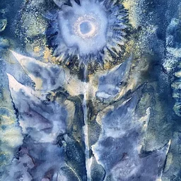 Everything Under the Sun: Cyanotype and Lumen Prints by Fruma Markowitz