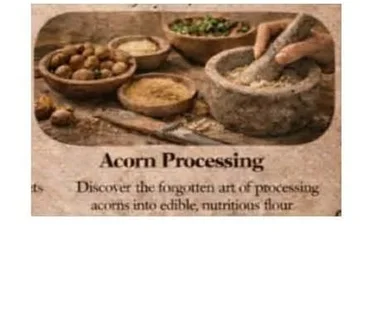 Historical Trades at the Inn - Acorn Processing